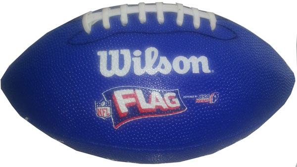 NFL Flag Fan Shop